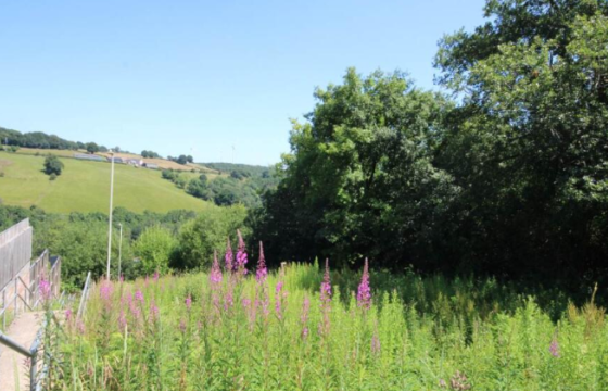 Development Opportunity in Argoed photo